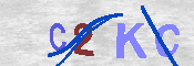 キャプチャ画像