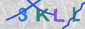 キャプチャ画像