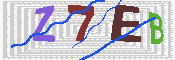キャプチャ画像