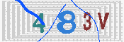 キャプチャ画像