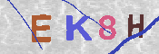 キャプチャ画像