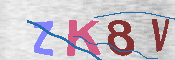 キャプチャ画像