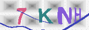 キャプチャ画像