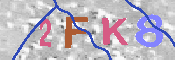 キャプチャ画像