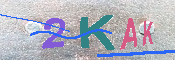 キャプチャ画像