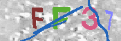 キャプチャ画像
