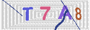 キャプチャ画像