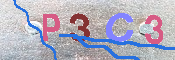 キャプチャ画像