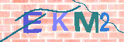 キャプチャ画像