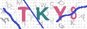 キャプチャ画像