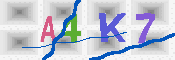 キャプチャ画像