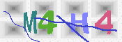 キャプチャ画像