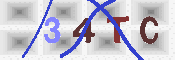 キャプチャ画像
