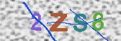 キャプチャ画像