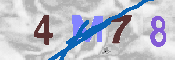 キャプチャ画像