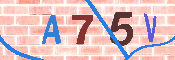 キャプチャ画像