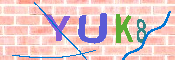 キャプチャ画像