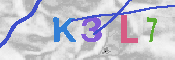 キャプチャ画像