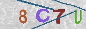 キャプチャ画像