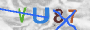 キャプチャ画像