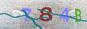 キャプチャ画像