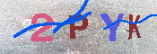 キャプチャ画像
