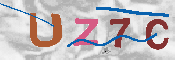 キャプチャ画像