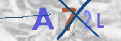 キャプチャ画像