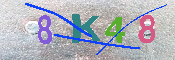 キャプチャ画像