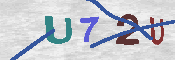キャプチャ画像
