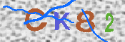 キャプチャ画像