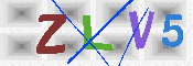 キャプチャ画像