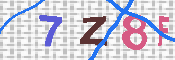 キャプチャ画像