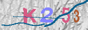 キャプチャ画像