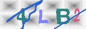 キャプチャ画像