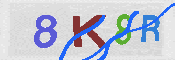 キャプチャ画像