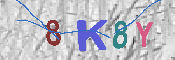 キャプチャ画像