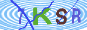 キャプチャ画像