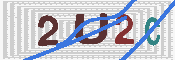 キャプチャ画像