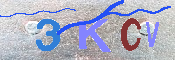 キャプチャ画像