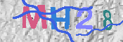 キャプチャ画像