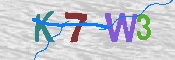 キャプチャ画像