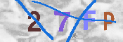 キャプチャ画像