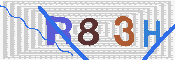 キャプチャ画像