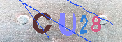 キャプチャ画像