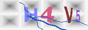 キャプチャ画像