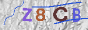 キャプチャ画像