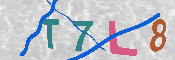 キャプチャ画像