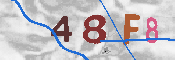 キャプチャ画像