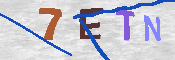 キャプチャ画像
